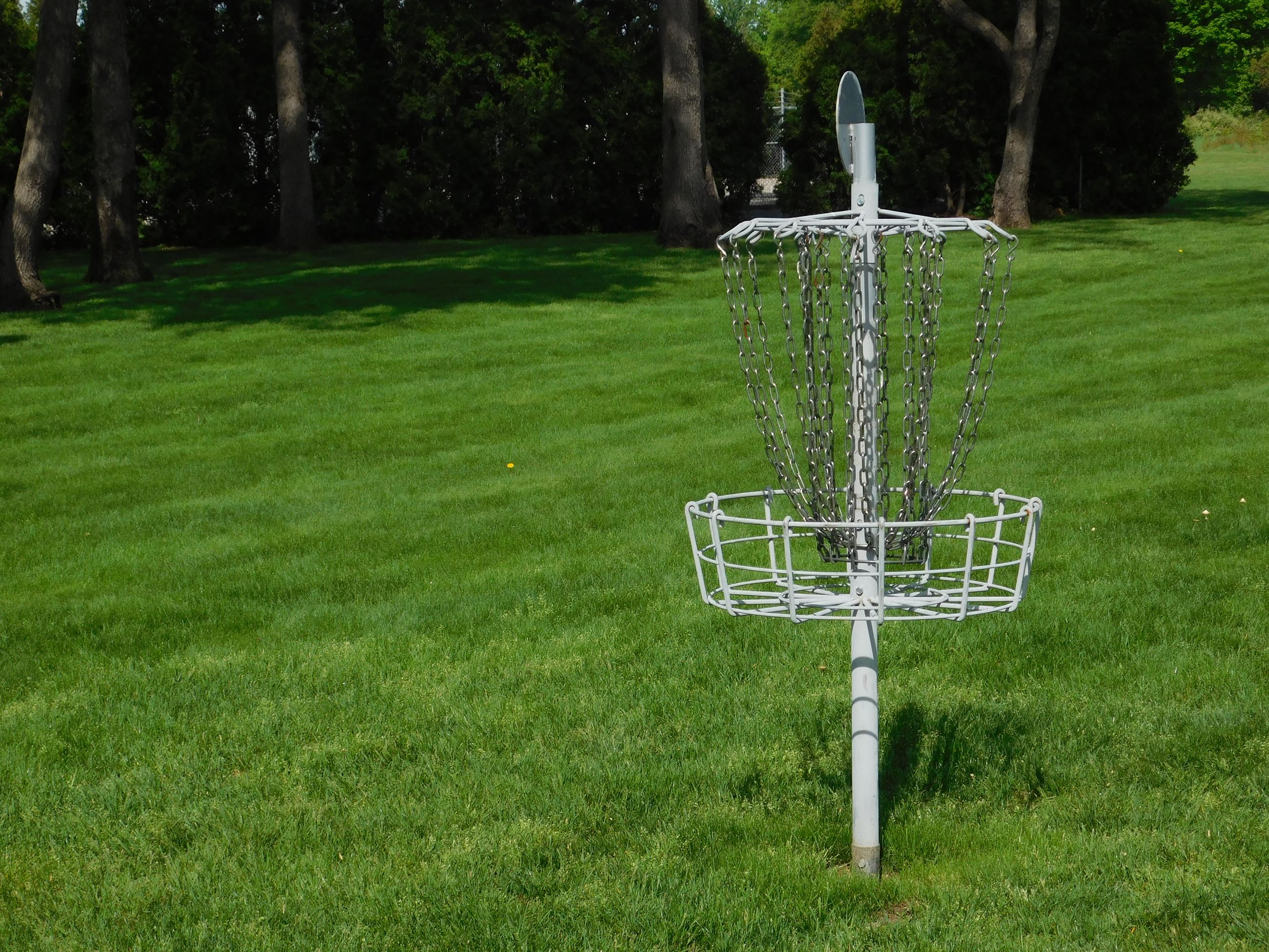 DISCGOLF (2)